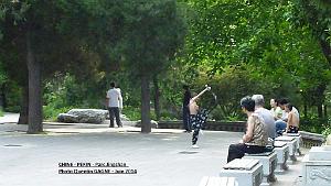 Pekin Jingshan 58